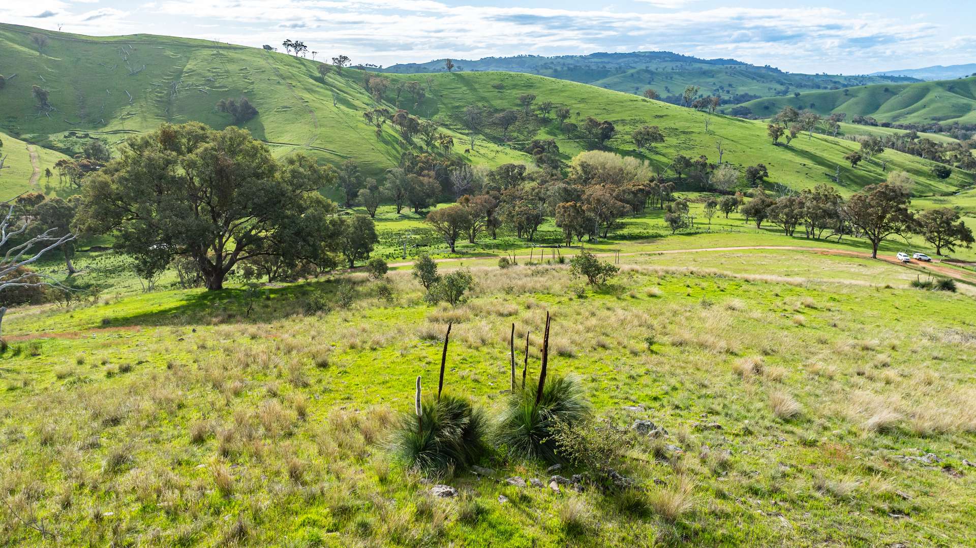 . Sirls Road, Bethanga For Sale by Farmbuy.com - image 13