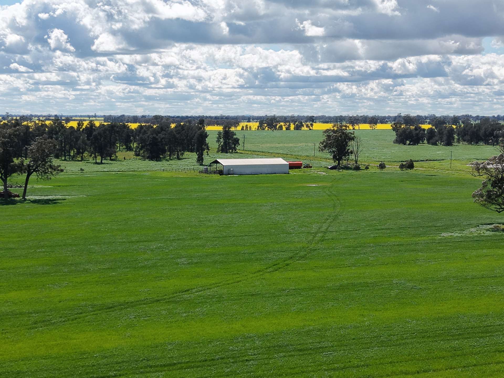 1 Humeden Road, Collendina For Sale by Farmbuy.com - image 3