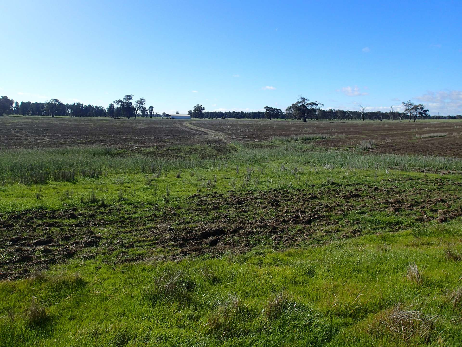 1 Humeden Road, Collendina For Sale by Farmbuy.com - image 5