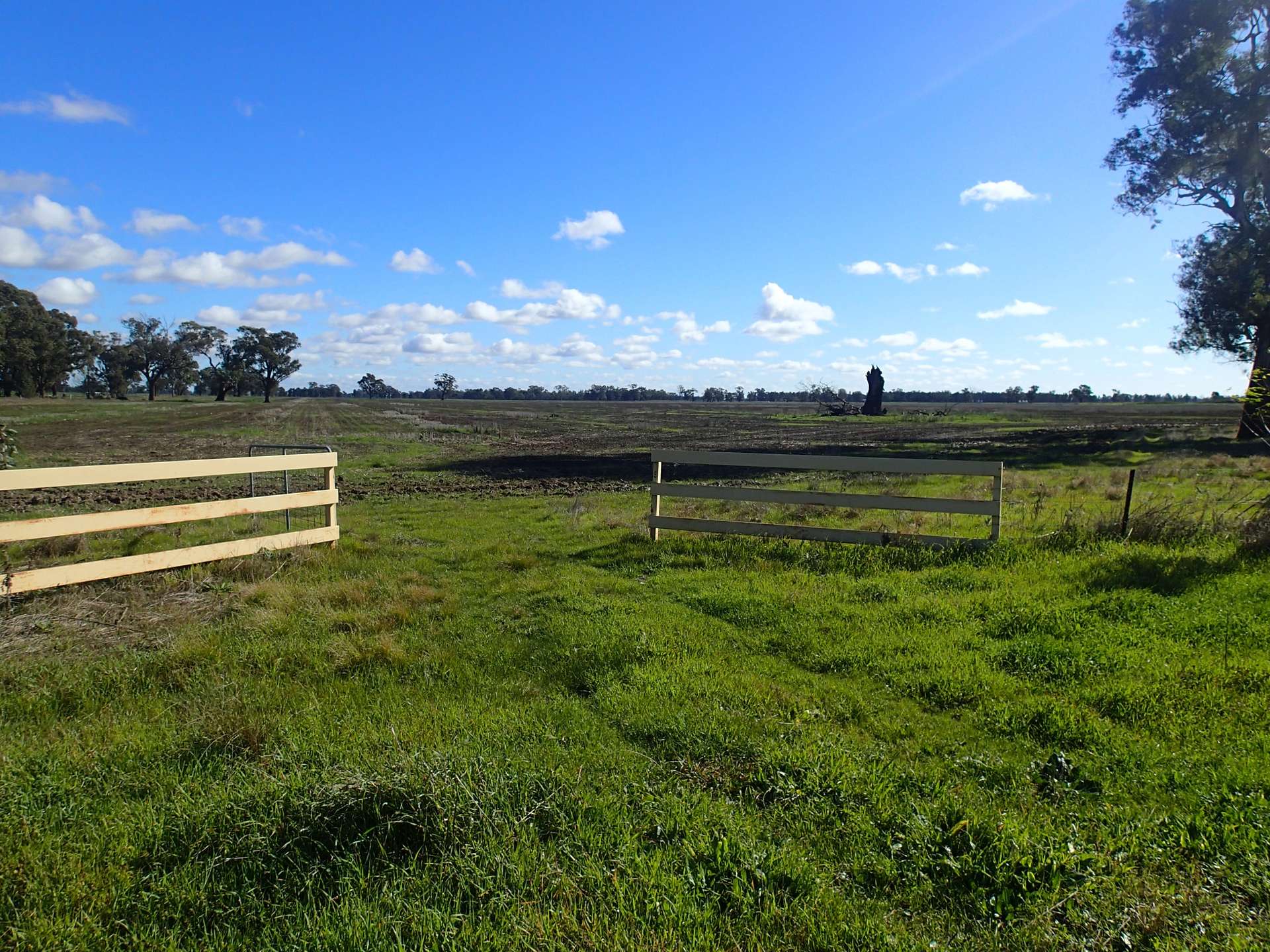 1 Humeden Road, Collendina For Sale by Farmbuy.com - image 8