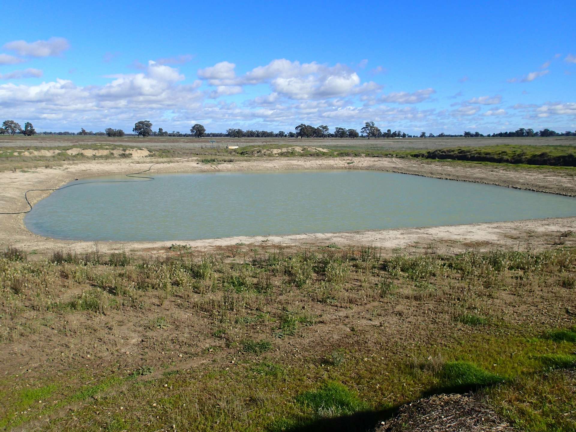 1 Humeden Road, Collendina For Sale by Farmbuy.com - image 4