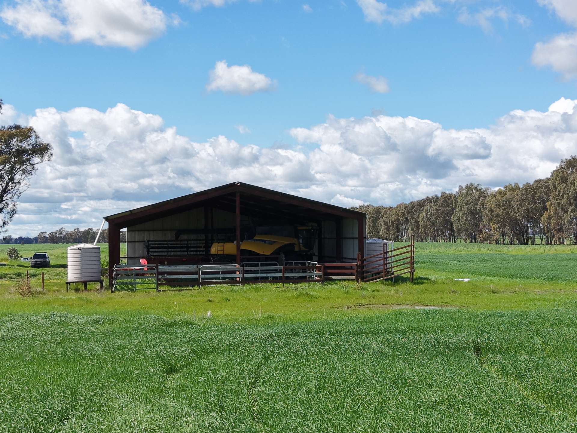 1 Humeden Road, Collendina For Sale by Farmbuy.com - image 5