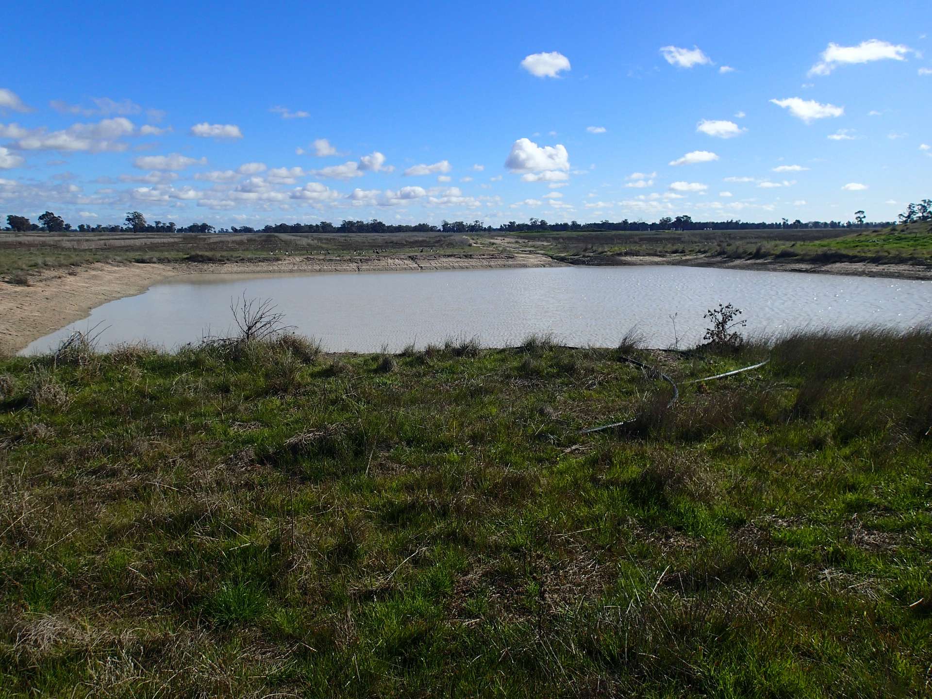 1 Humeden Road, Collendina For Sale by Farmbuy.com - image 7