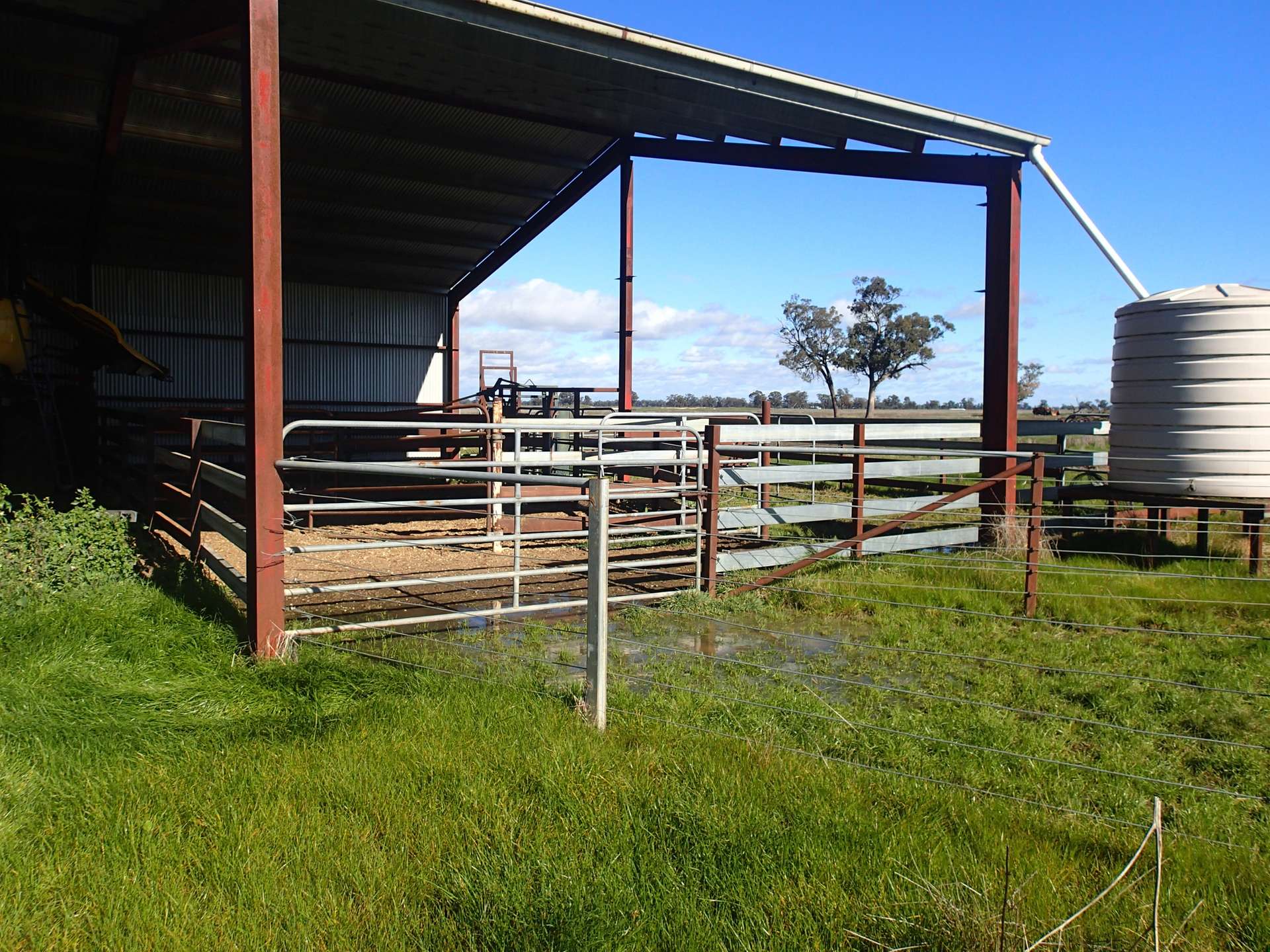 1 Humeden Road, Collendina For Sale by Farmbuy.com - image 2