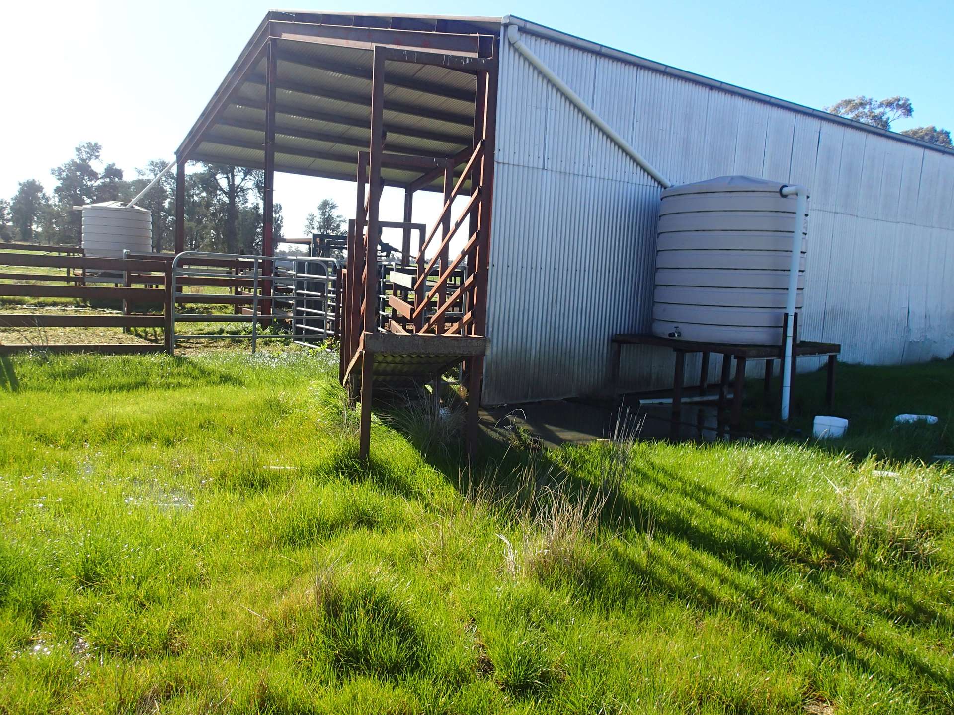 1 Humeden Road, Collendina For Sale by Farmbuy.com - image 3