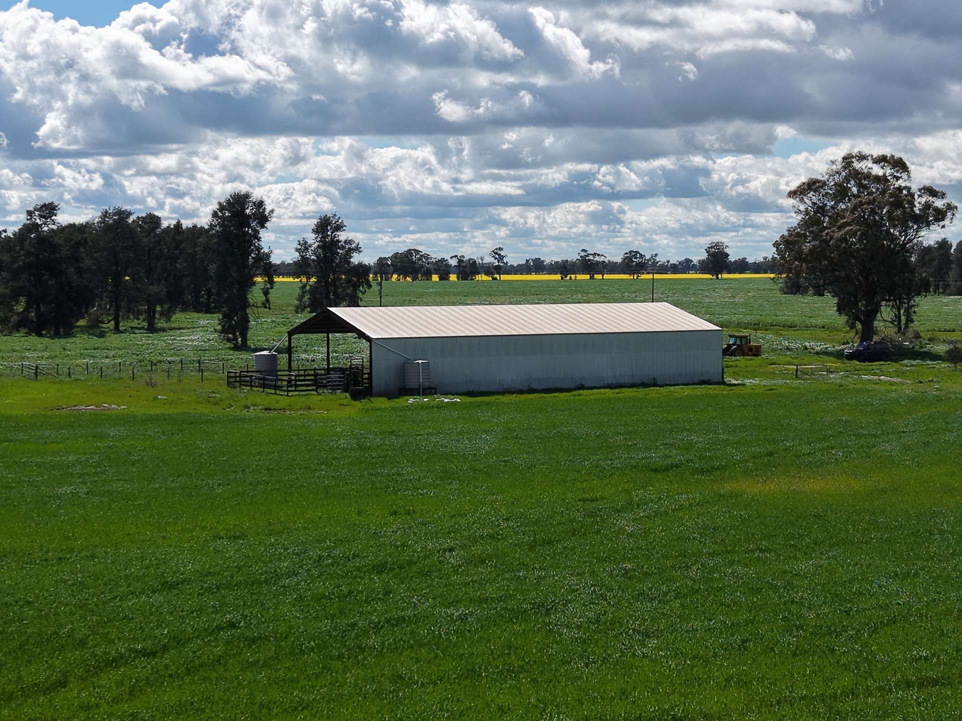 1 Humeden Road, Collendina For Sale by Farmbuy.com - image 4