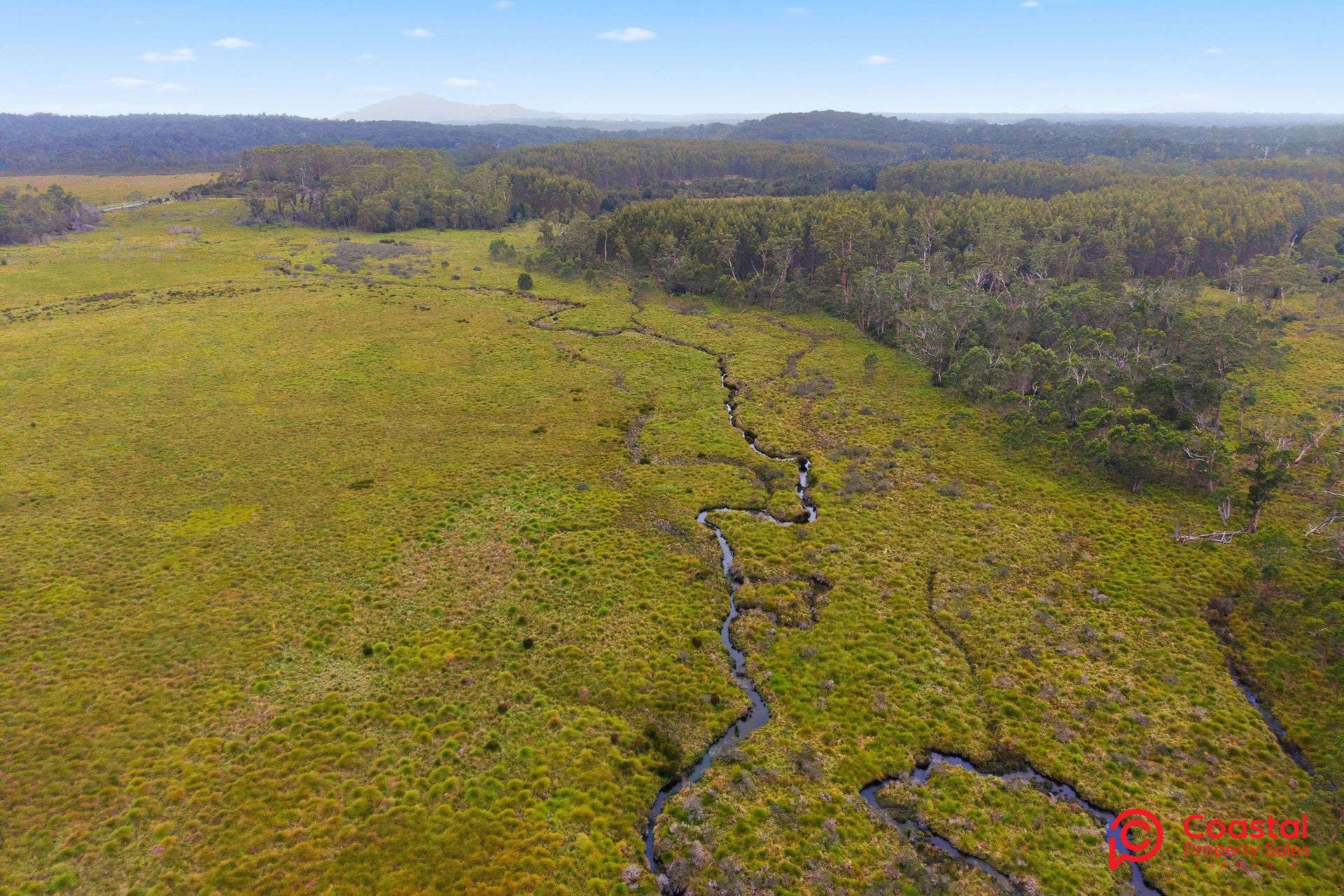 Waratah Road, Waratah For Sale by Farmbuy.com - image 18