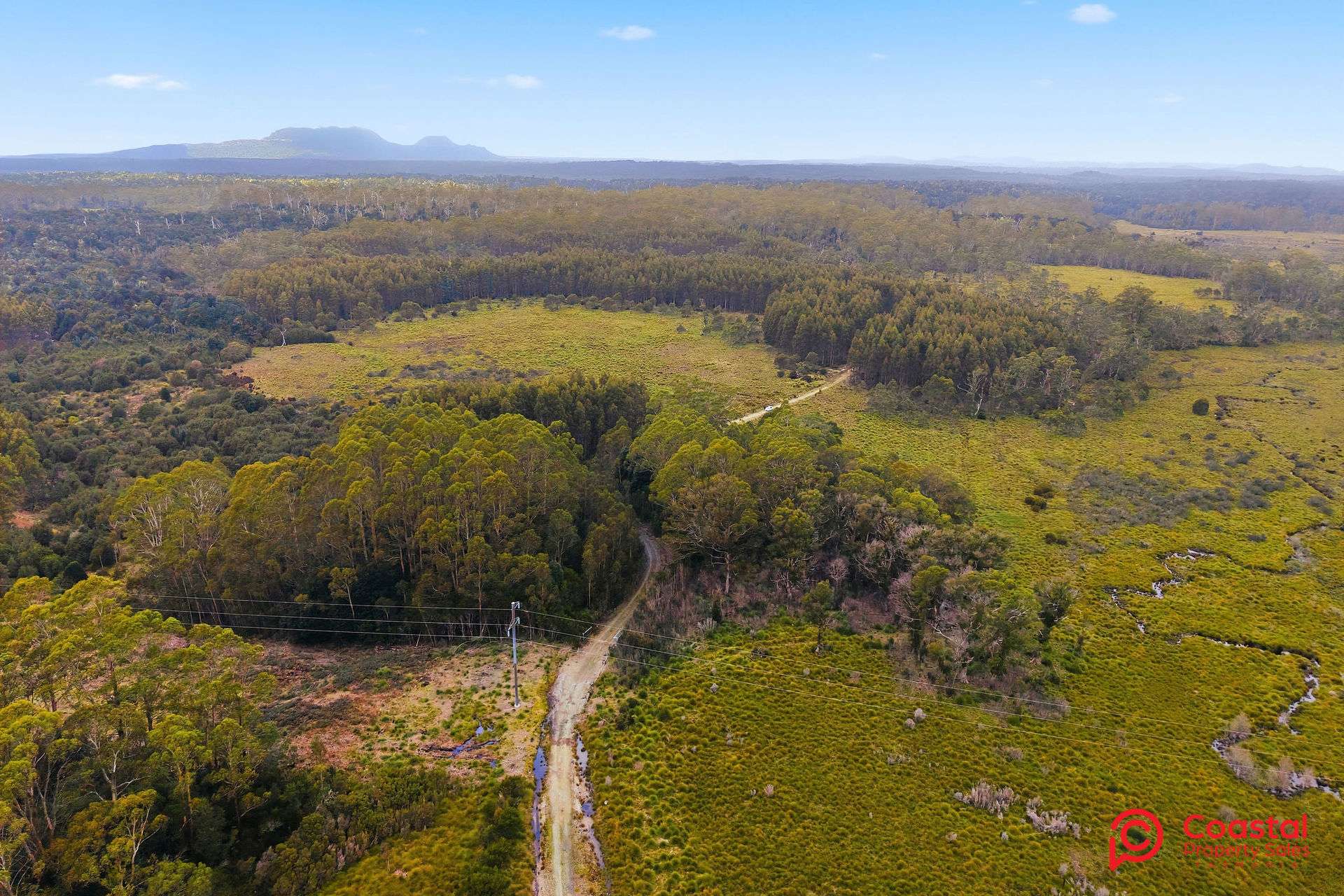 Waratah Road, Waratah For Sale by Farmbuy.com - image 7