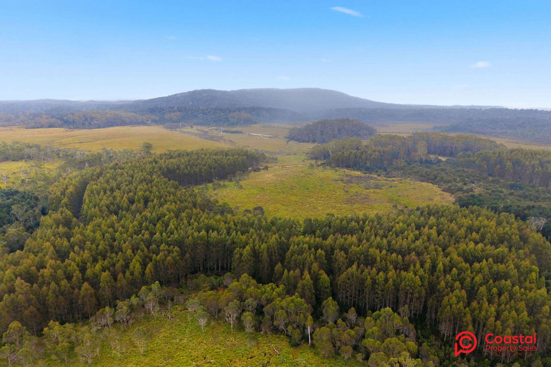 Waratah Road, Waratah For Sale by Farmbuy.com - image 2