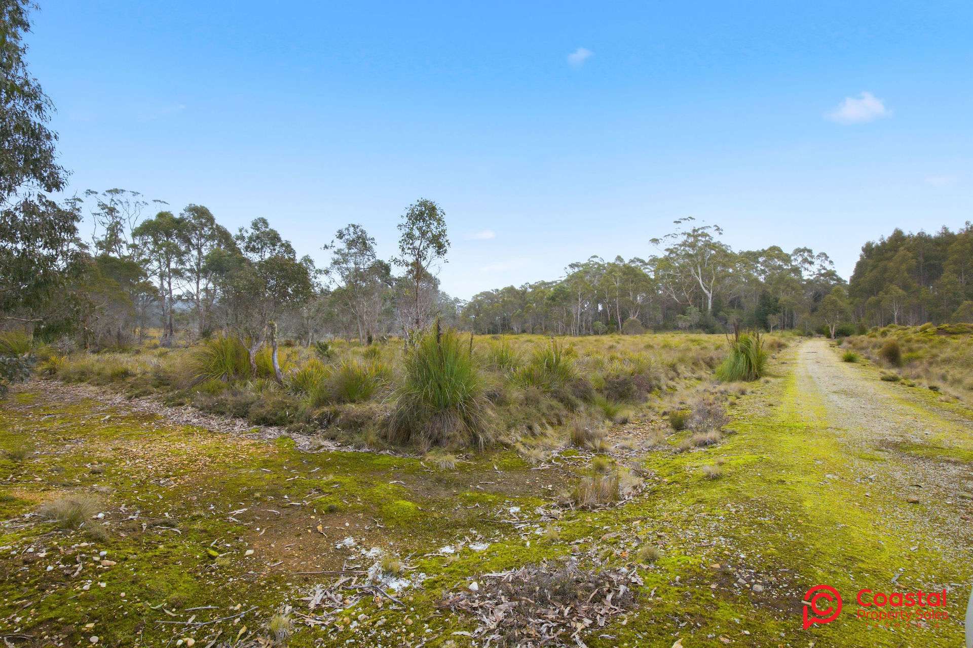Waratah Road, Waratah For Sale by Farmbuy.com - image 23