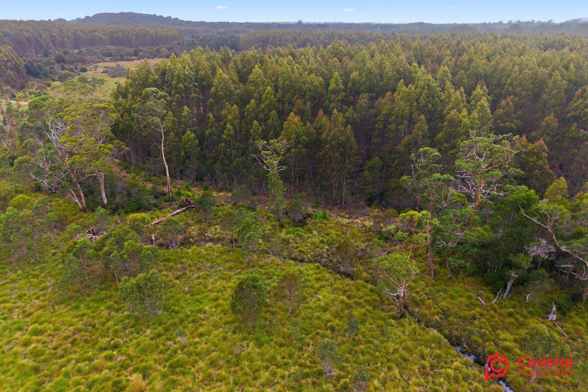 Waratah Road, Waratah For Sale by Farmbuy.com - image 3