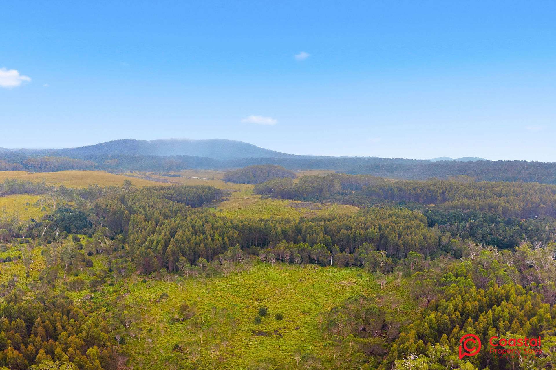 Waratah Road, Waratah For Sale by Farmbuy.com - image 10
