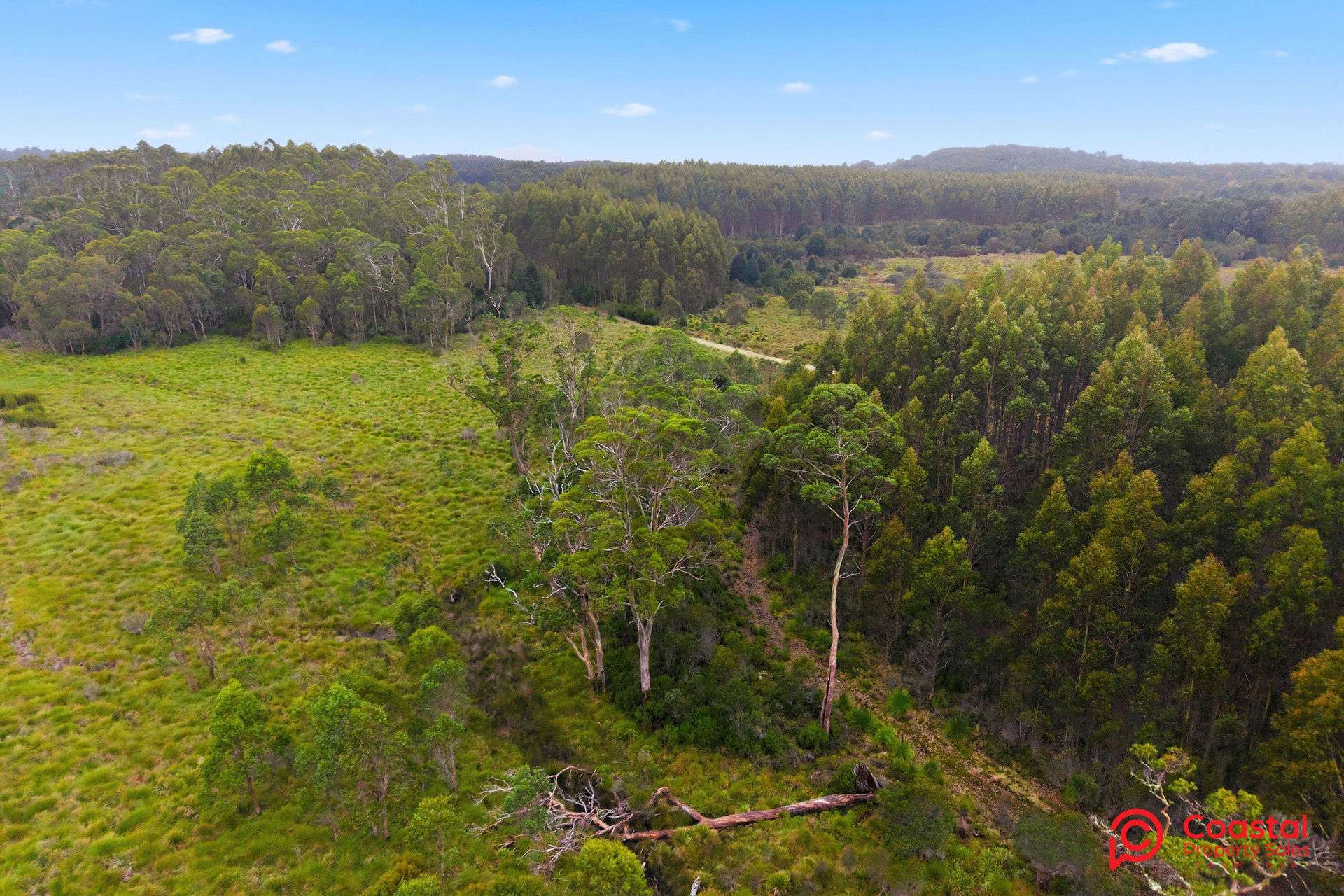 Waratah Road, Waratah For Sale by Farmbuy.com - image 16