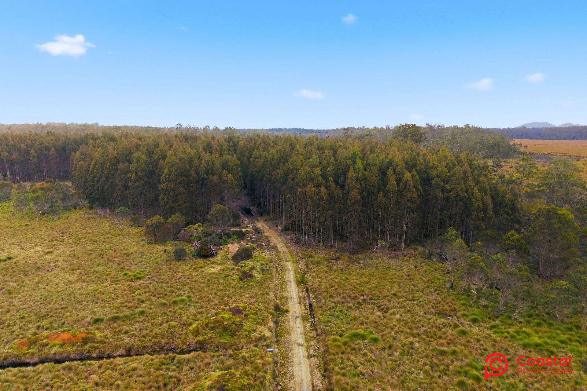 Waratah Road, Waratah For Sale by Farmbuy.com - image 4