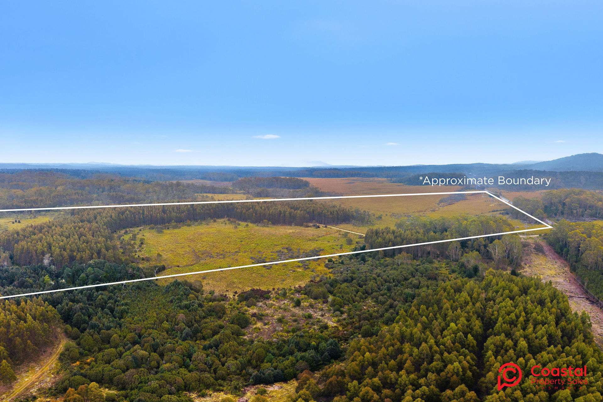 Waratah Road, Waratah For Sale by Farmbuy.com - image 14