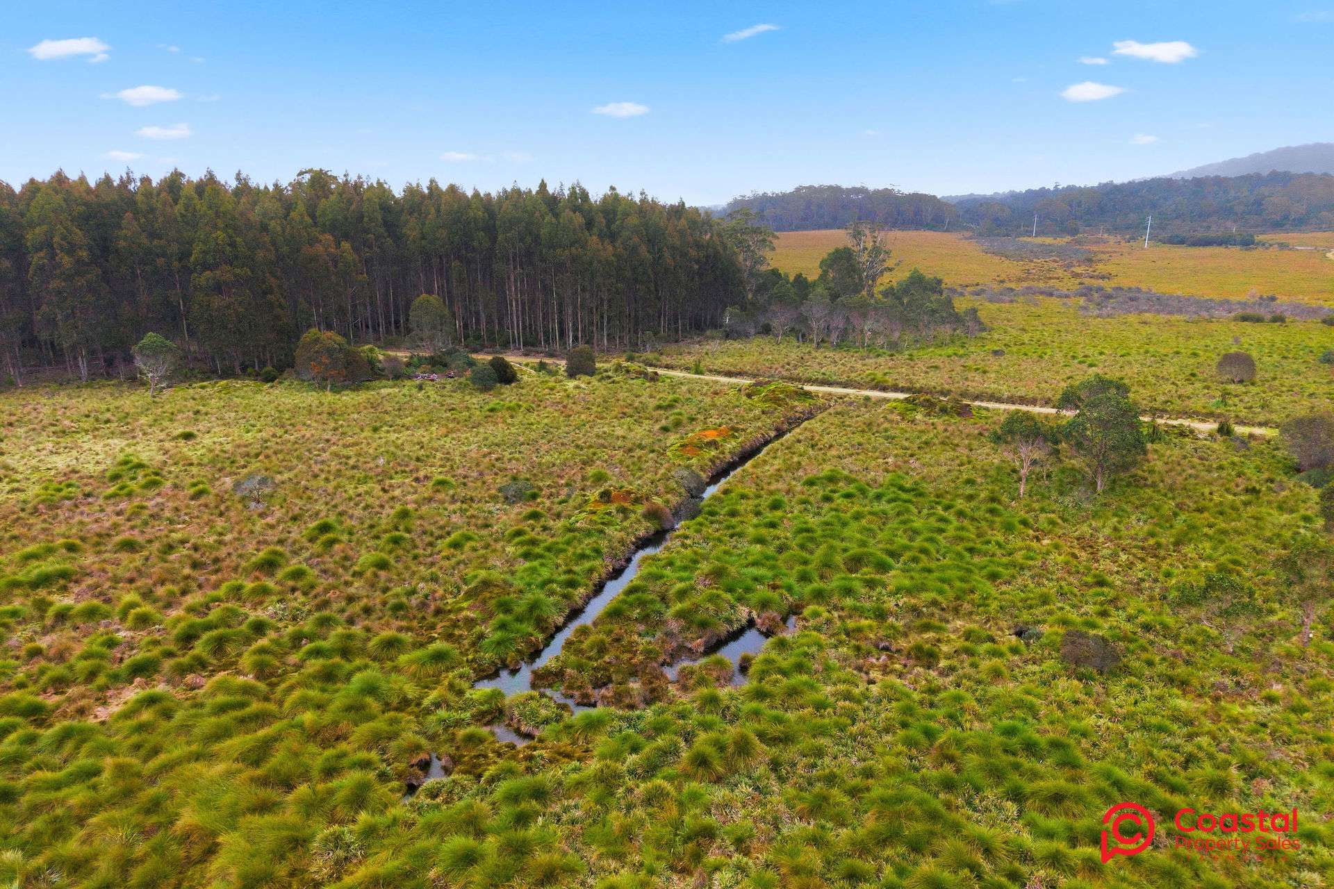 Waratah Road, Waratah For Sale by Farmbuy.com - image 12