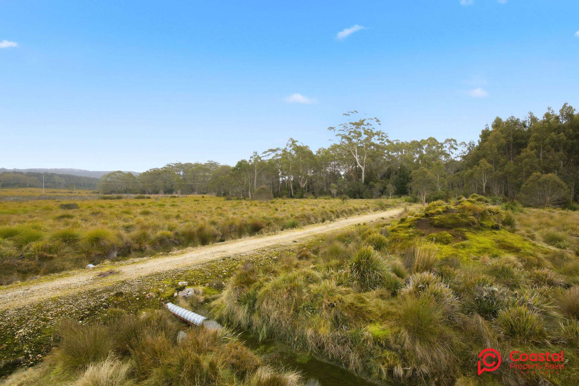 Waratah Road, Waratah For Sale by Farmbuy.com - image 20