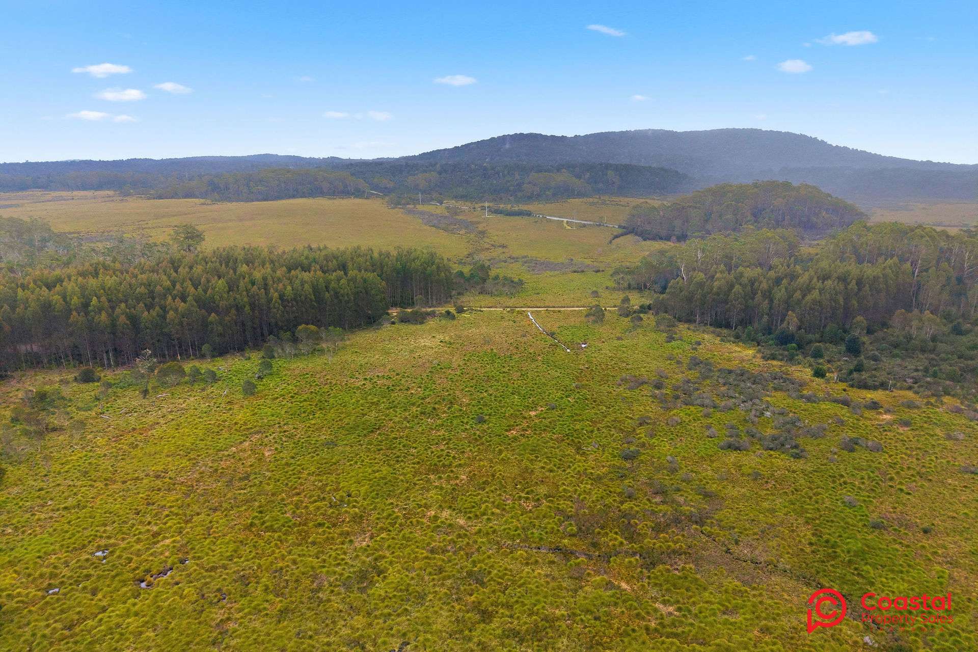 Waratah Road, Waratah For Sale by Farmbuy.com - image 17