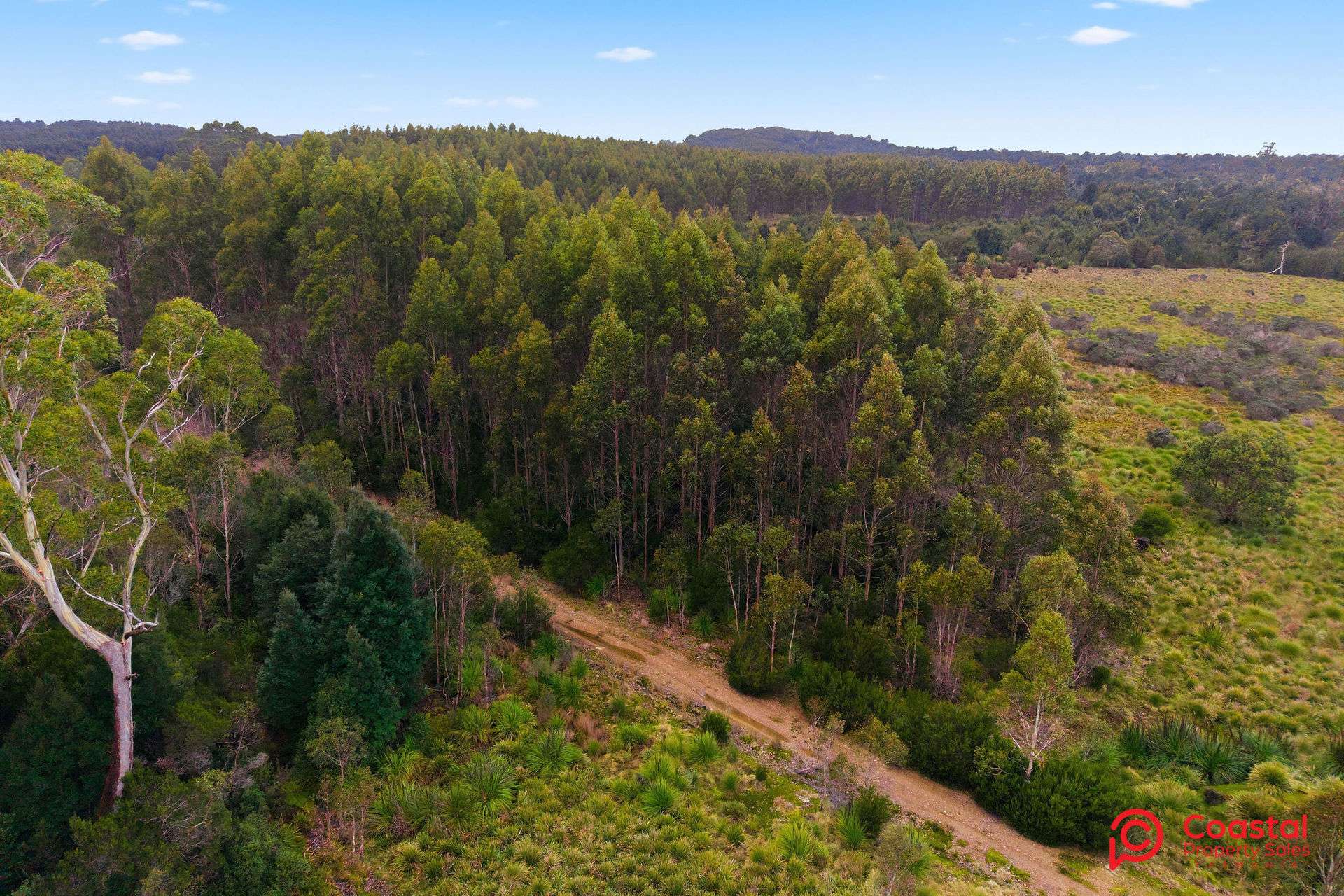 Waratah Road, Waratah For Sale by Farmbuy.com - image 22
