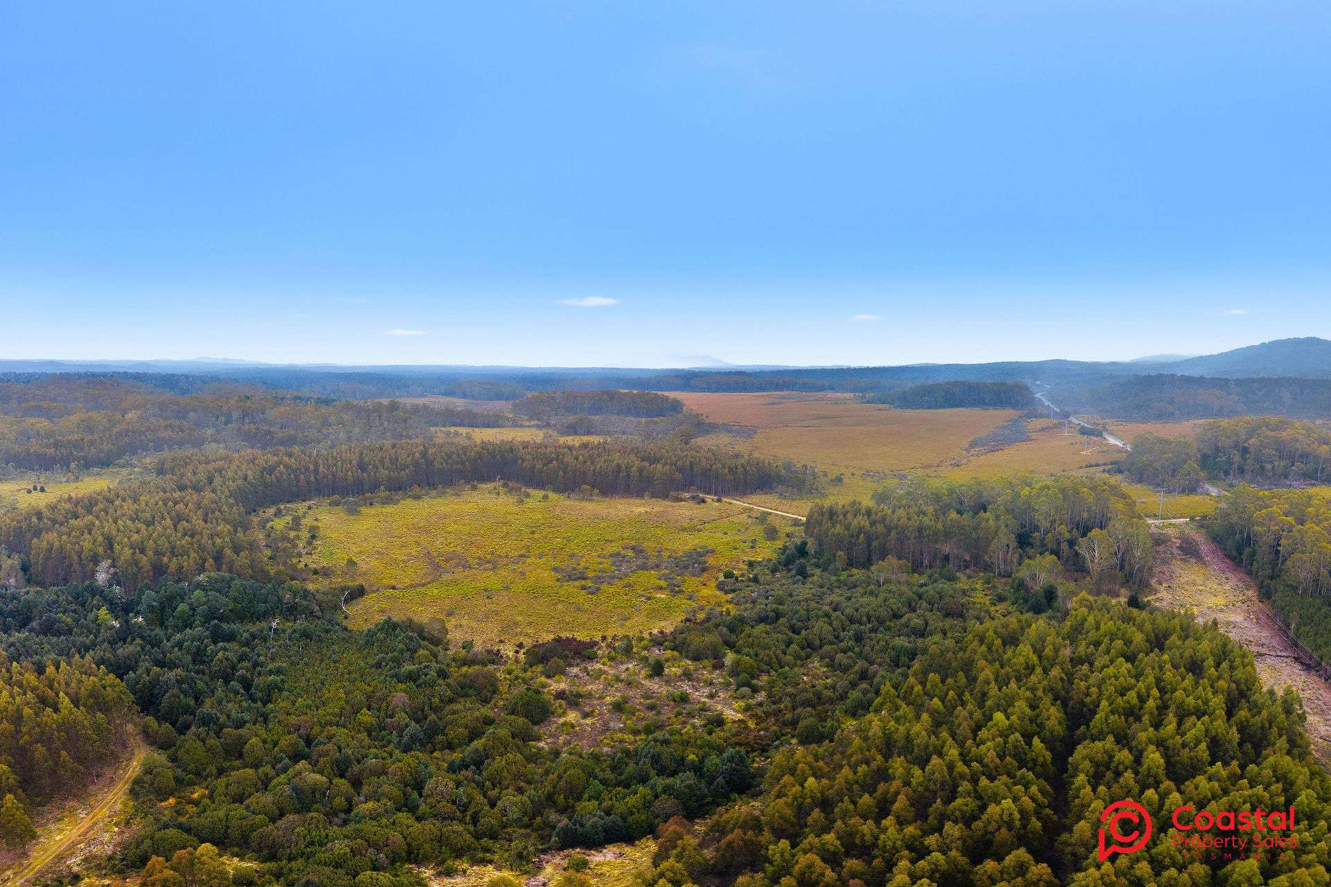 Waratah Road, Waratah For Sale by Farmbuy.com - image 9