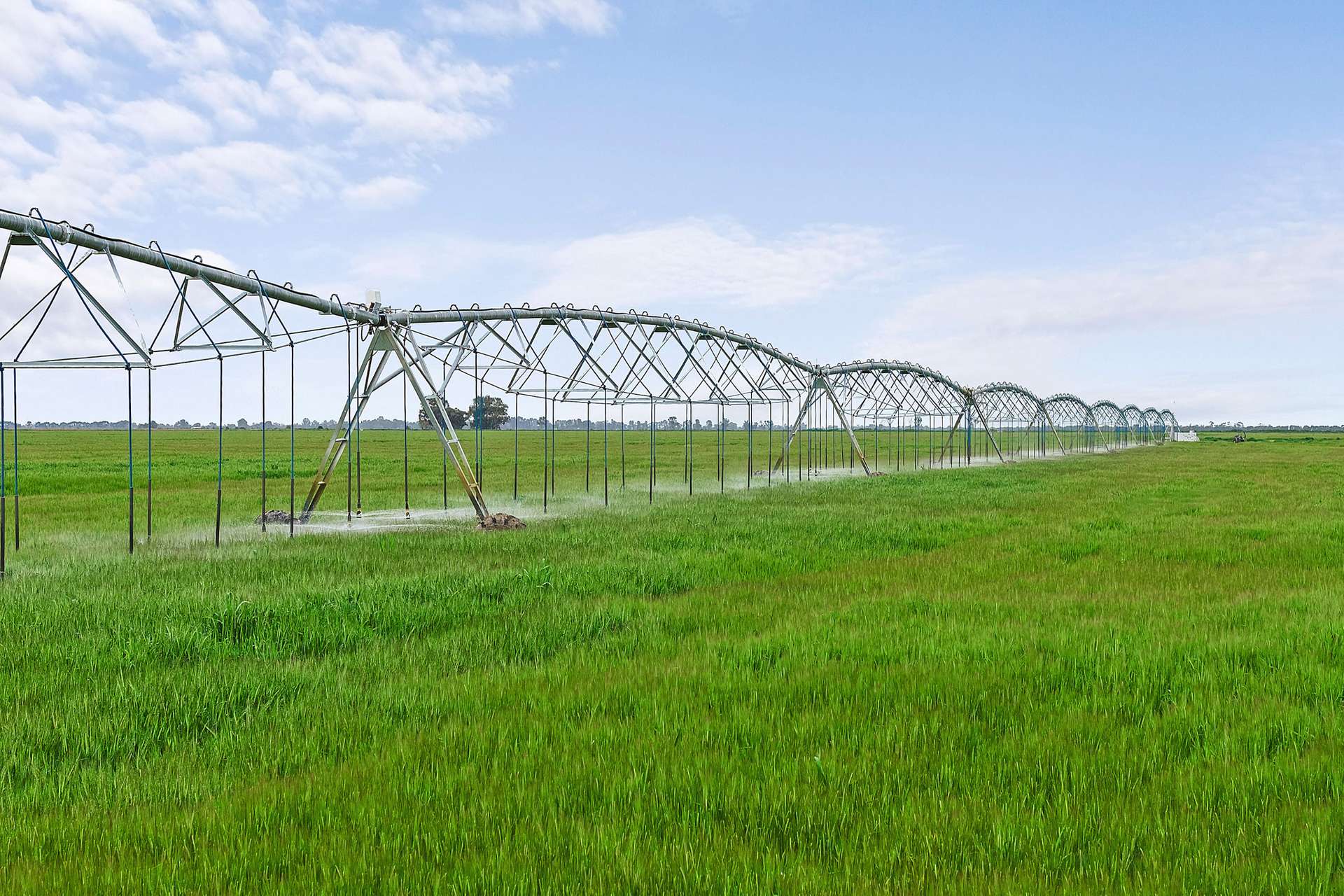 0 Kerang-Murrabit Road, Murrabit For Sale by Farmbuy.com - image 2
