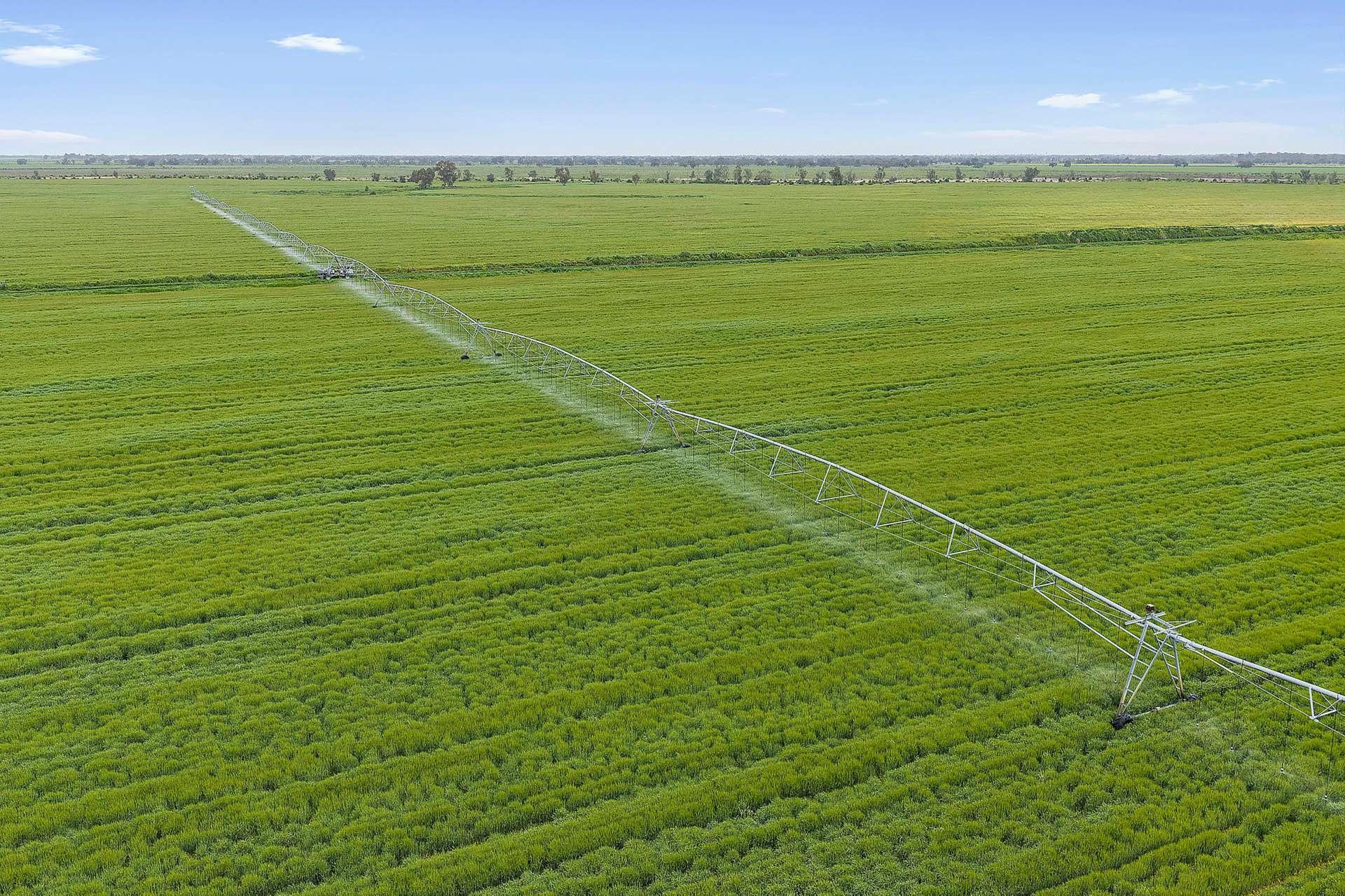 0 Kerang-Murrabit Road, Murrabit For Sale by Farmbuy.com - image 1