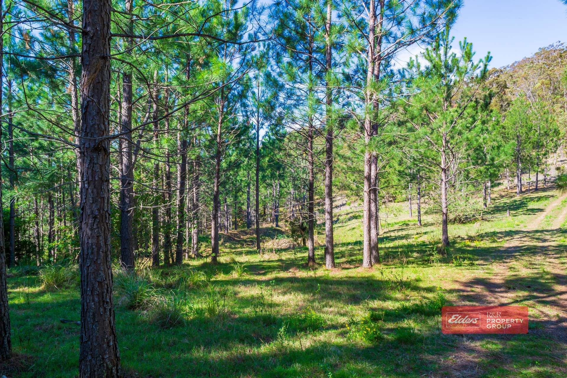 392 Baldy Knob Road, Limeburners Creek For Sale by Farmbuy.com - image 4