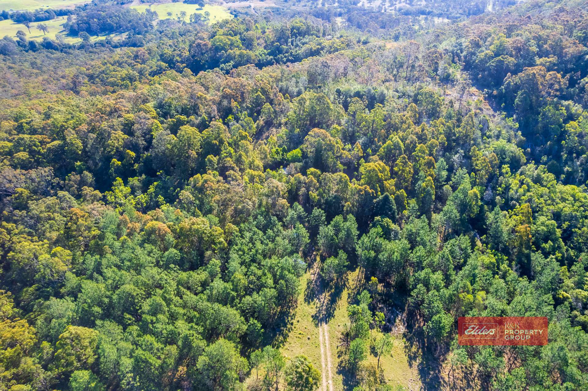392 Baldy Knob Road, Limeburners Creek For Sale by Farmbuy.com - image 5