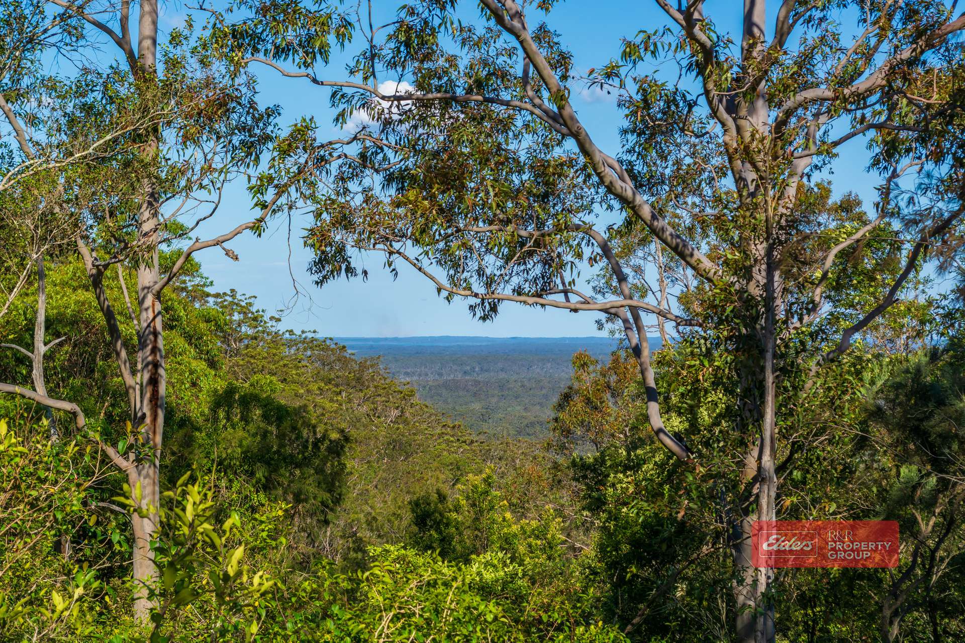 392 Baldy Knob Road, Limeburners Creek For Sale by Farmbuy.com - image 2