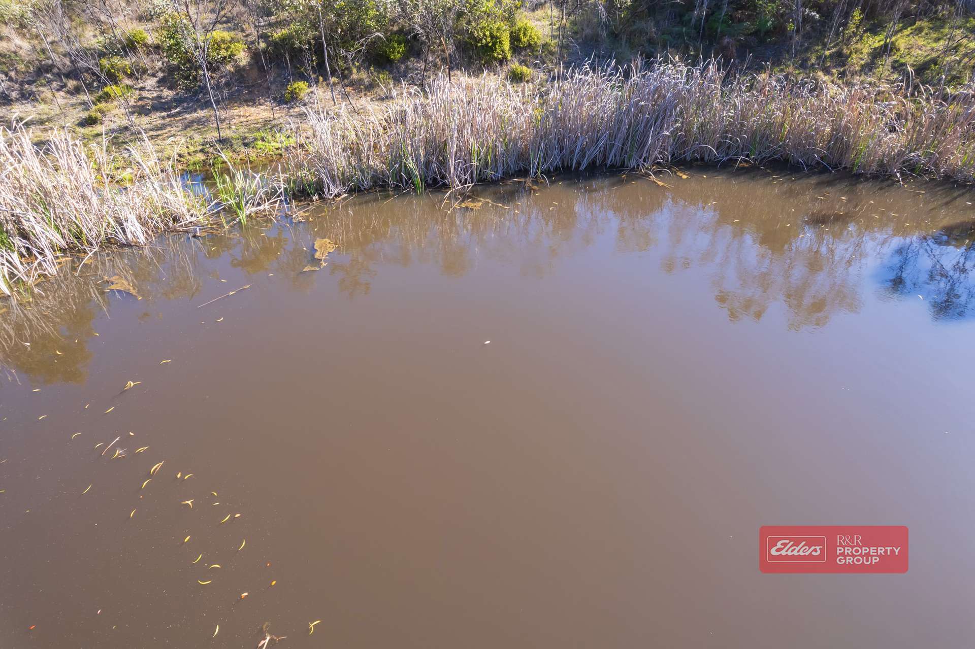 392 Baldy Knob Road, Limeburners Creek For Sale by Farmbuy.com - image 9