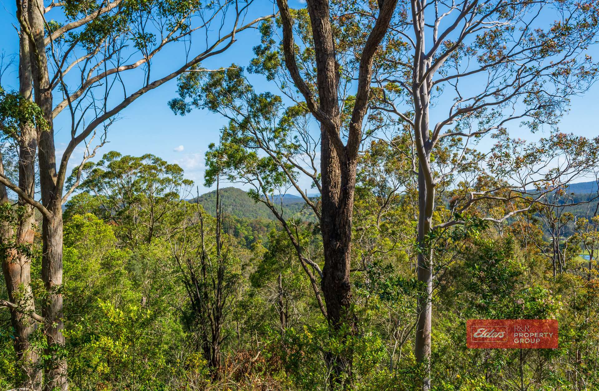 392 Baldy Knob Road, Limeburners Creek For Sale by Farmbuy.com - image 3