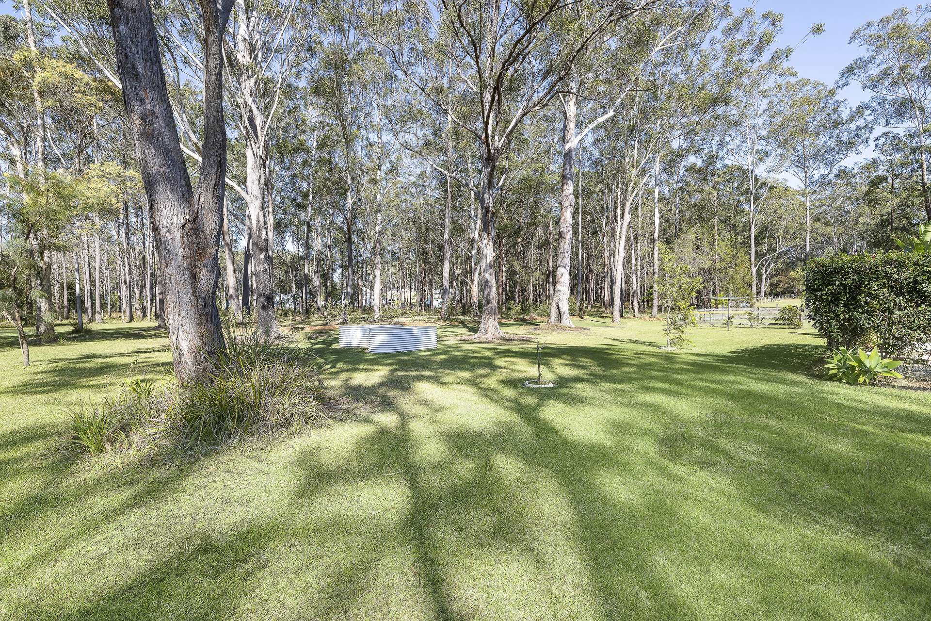 350 Old Station Road, Verges Creek For Sale by Farmbuy.com - image 33