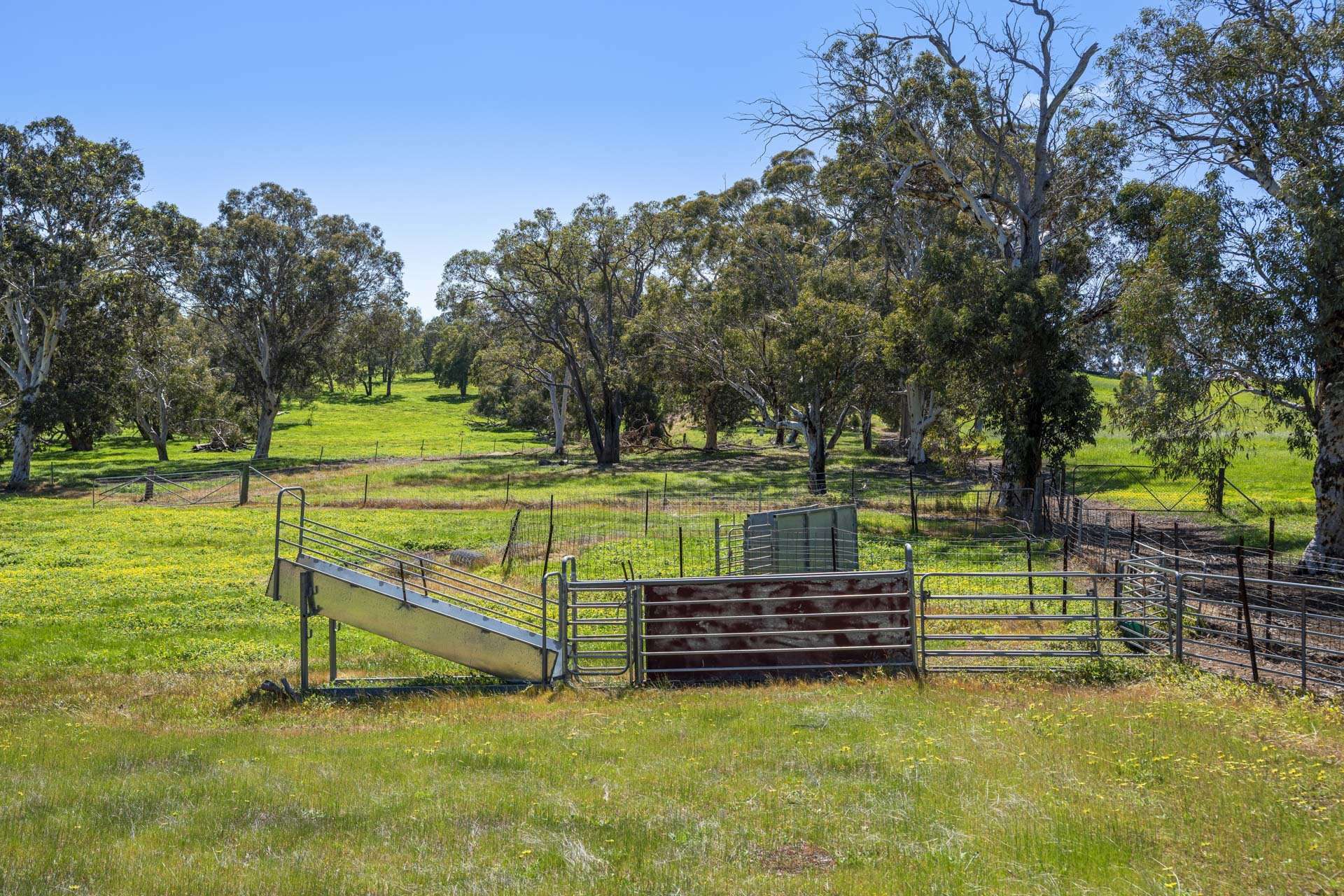 Bindoon For Sale by Farmbuy.com - image 20