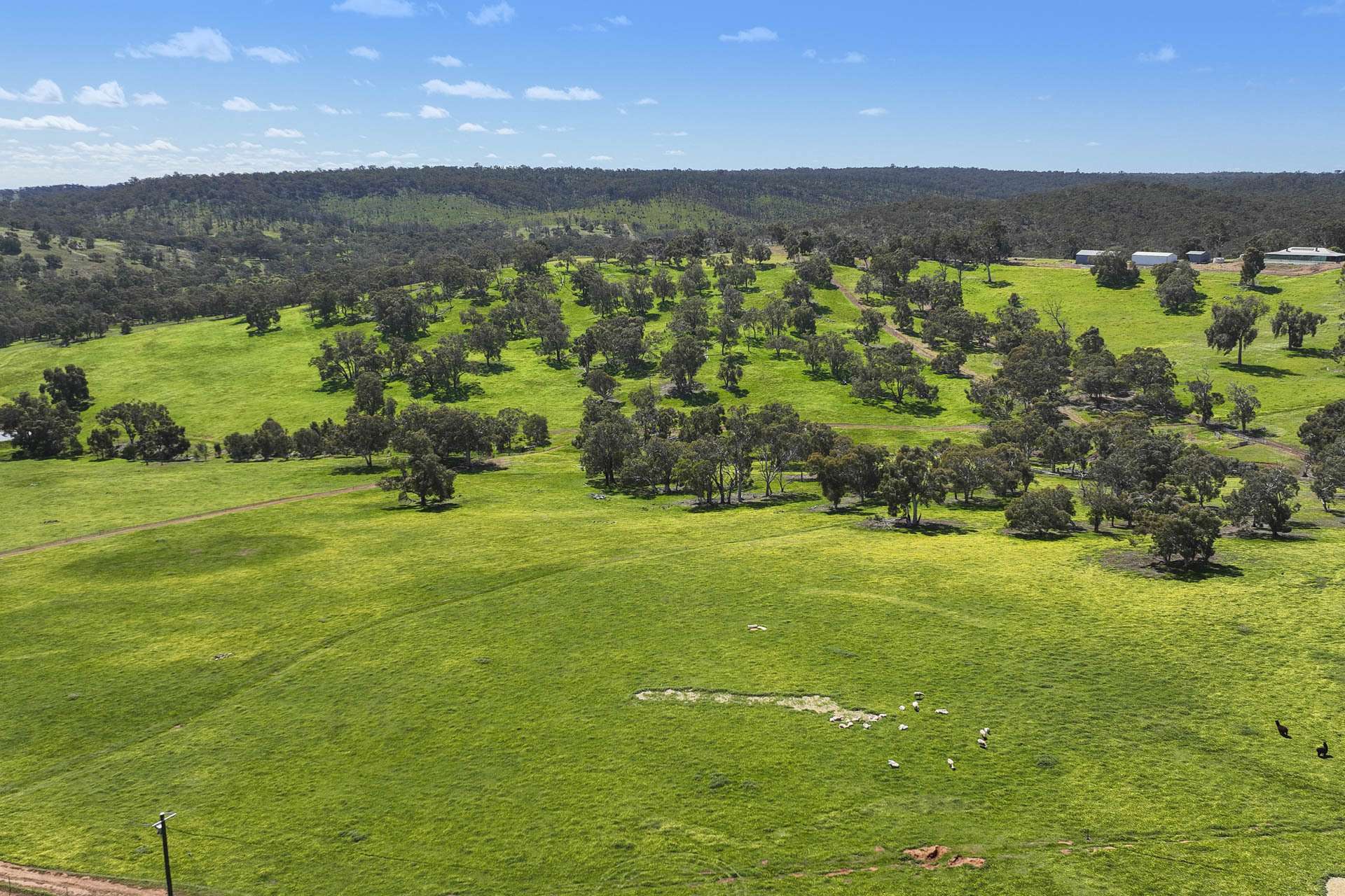 Bindoon For Sale by Farmbuy.com - image 5