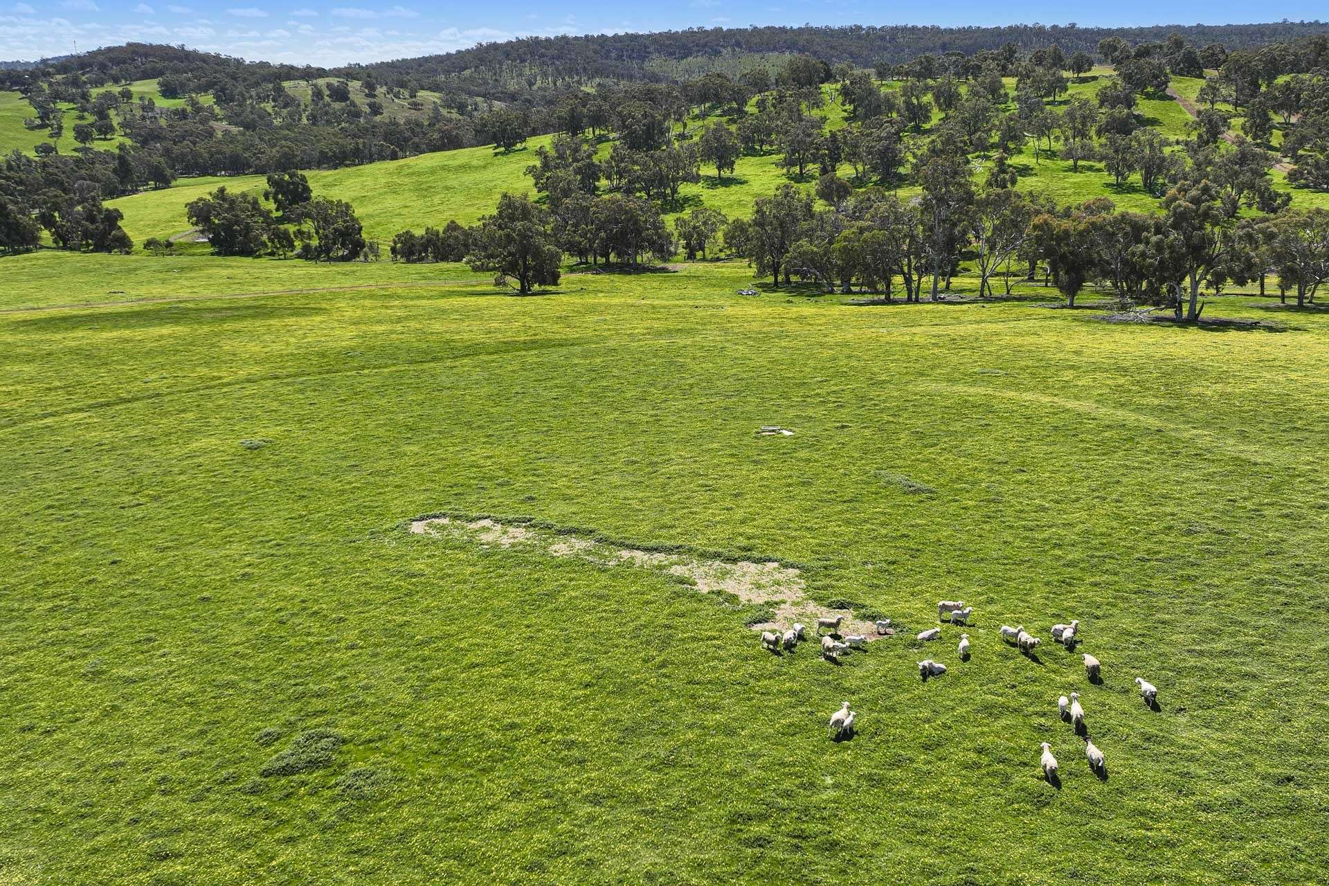 Bindoon For Sale by Farmbuy.com - image 9