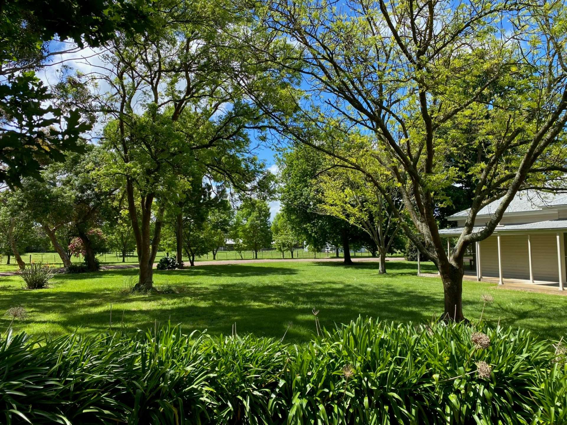 289 Fosters Lane, Mortlake For Sale by Farmbuy.com - image 13