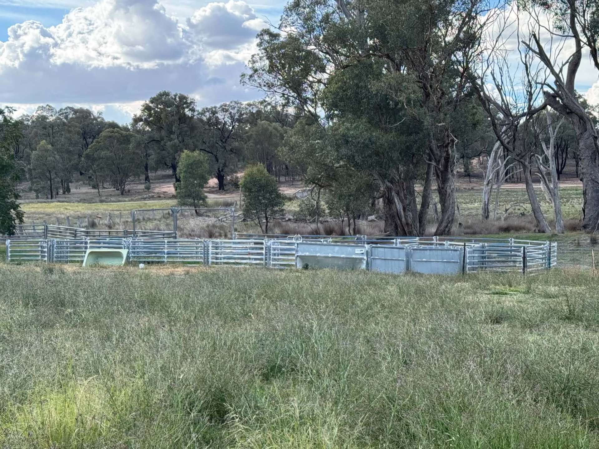 86 Hunts Crossing Road, Parkes For Sale by Farmbuy.com - image 8