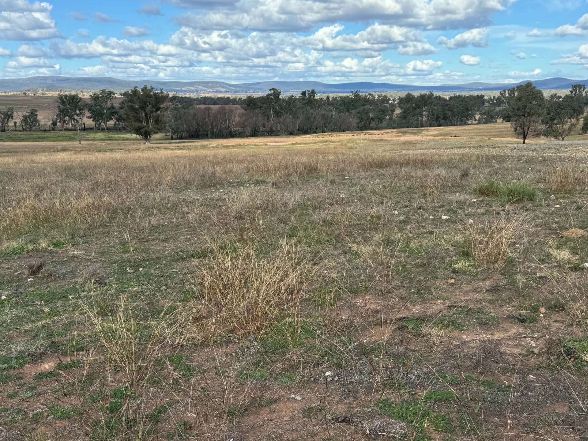 86 Hunts Crossing Road, Parkes For Sale by Farmbuy.com - image 10