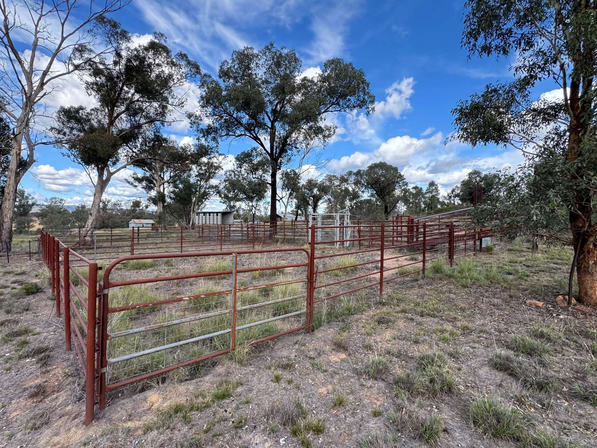 86 Hunts Crossing Road, Parkes For Sale by Farmbuy.com - image 12