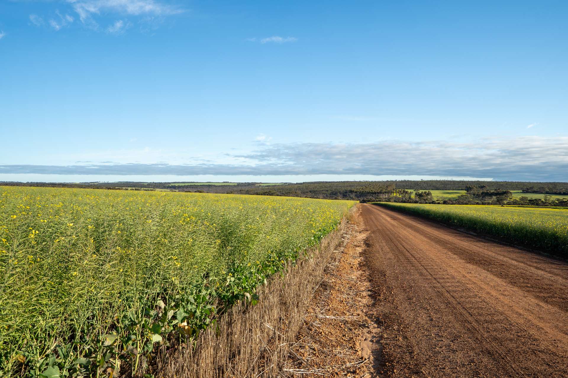 Two Hills 616 Stock Road, Jerramungup For Sale by Farmbuy.com - image 4