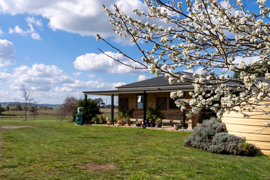 'Ashfield' 1262 Mandurama Road, Neville NSW 2799