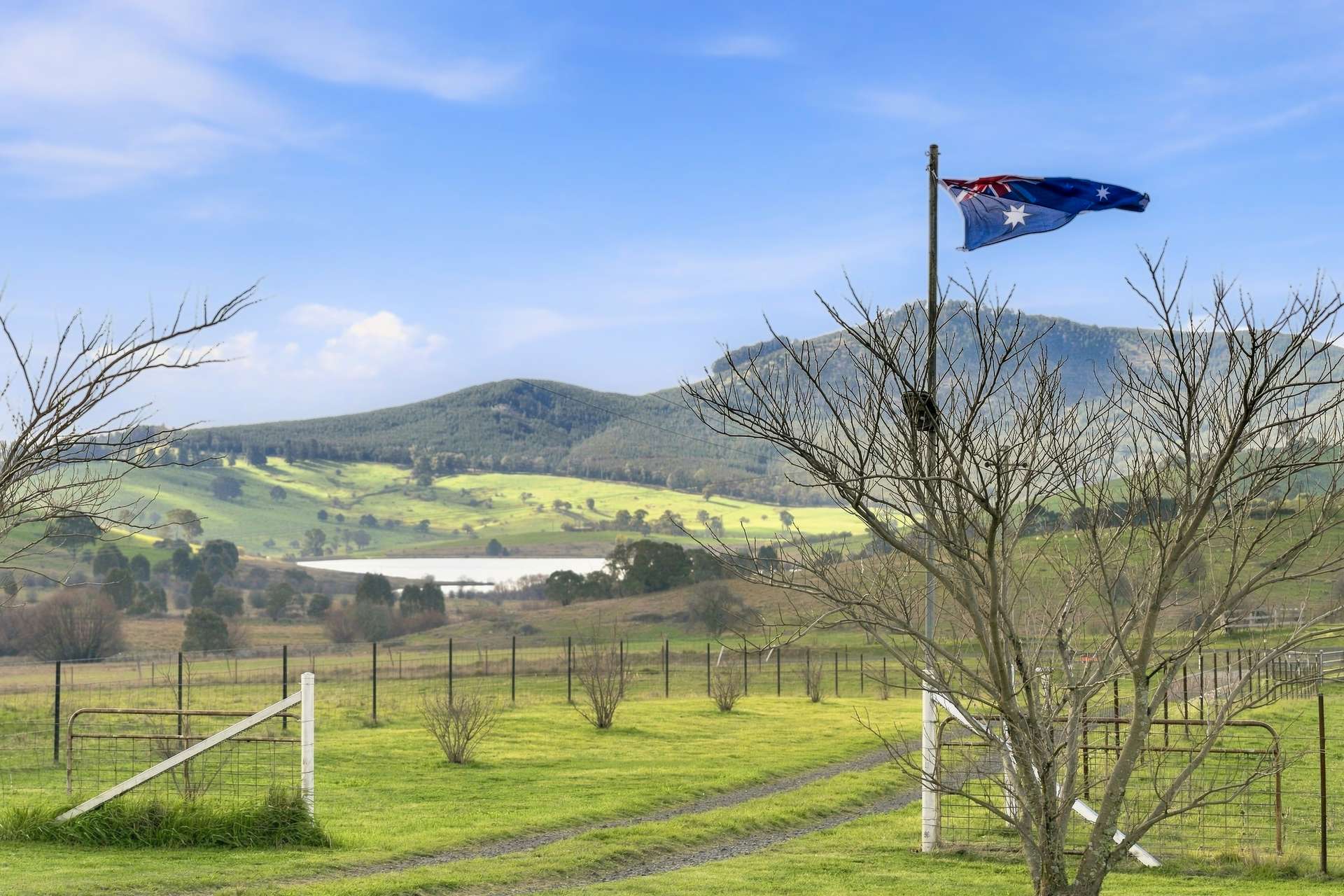 'Ashfield' 1262 Mandurama Road, Neville Auction by Farmbuy.com - image 3