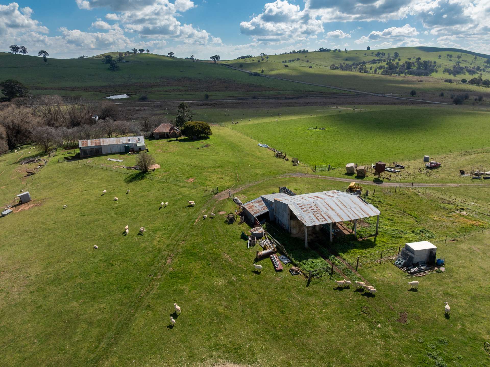 'Ashfield' 1262 Mandurama Road, Neville Auction by Farmbuy.com - image 20