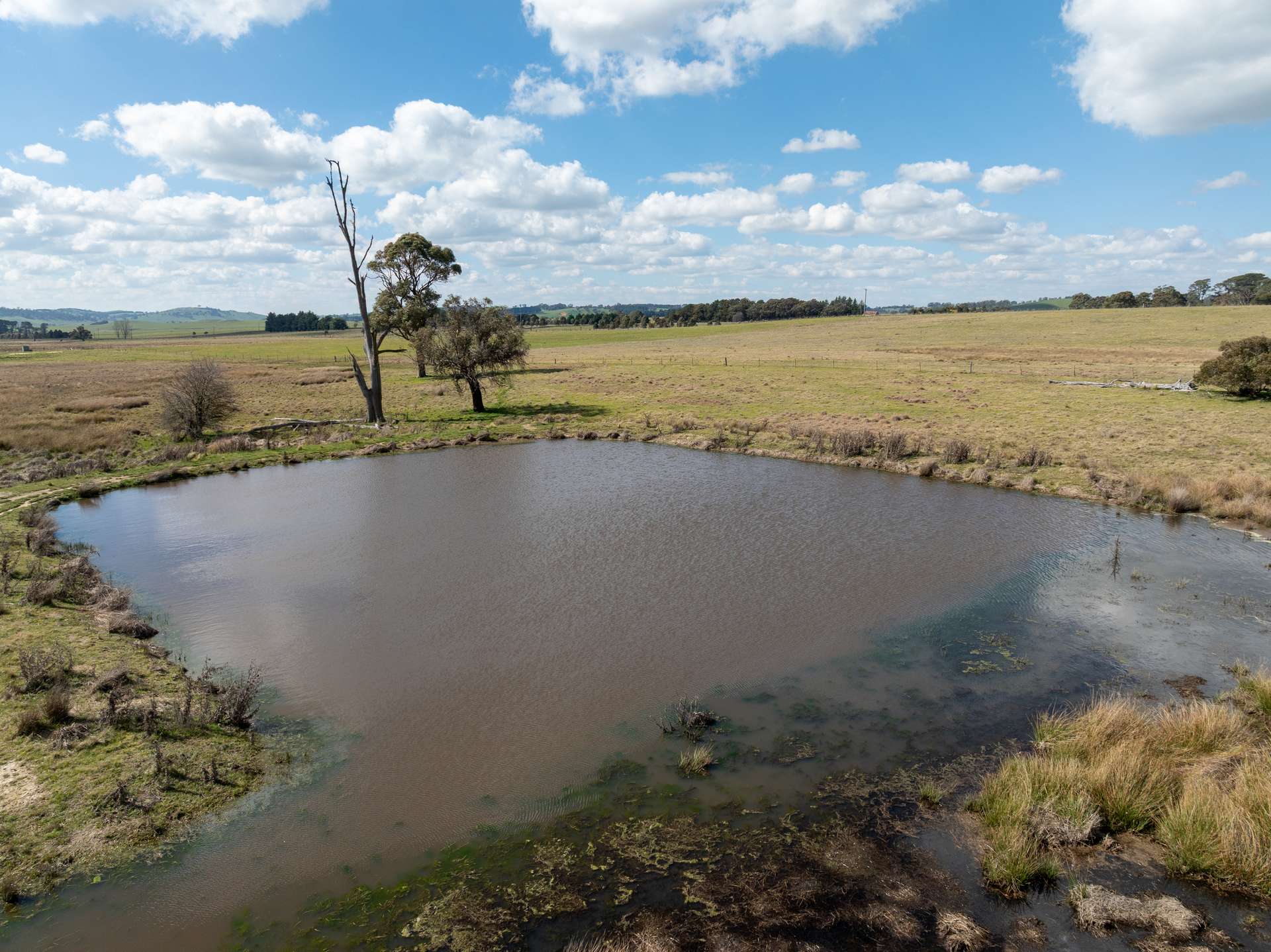 'Ashfield' 1262 Mandurama Road, Neville Auction by Farmbuy.com - image 27