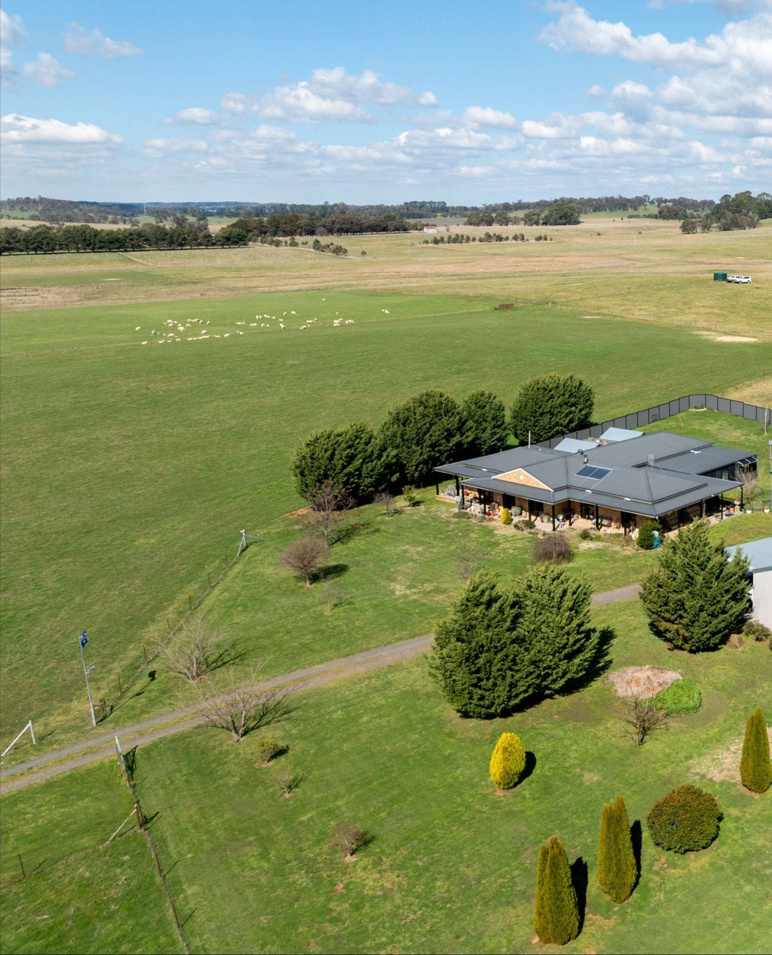 'Ashfield' 1262 Mandurama Road, Neville Auction by Farmbuy.com - image 4