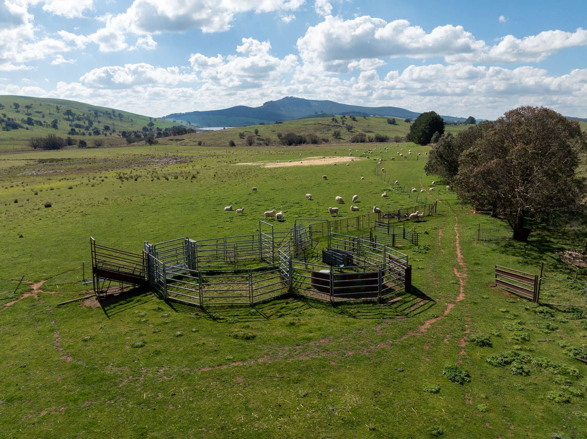 'Ashfield' 1262 Mandurama Road, Neville Auction by Farmbuy.com - image 23