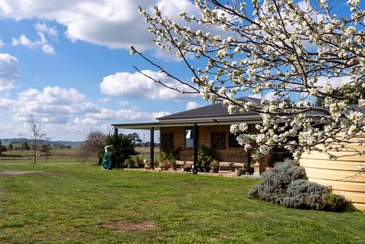 'Ashfield' 1262 Mandurama Road, Neville NSW 2799