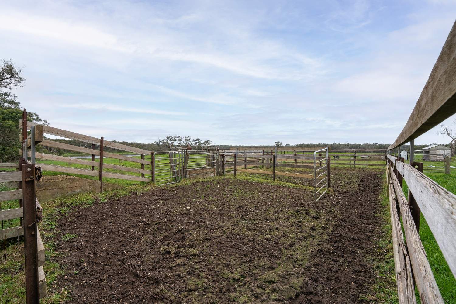 LOT 1 & 2 LP75465 Mt Clay Road, Heywood For Sale by Farmbuy.com - image 7