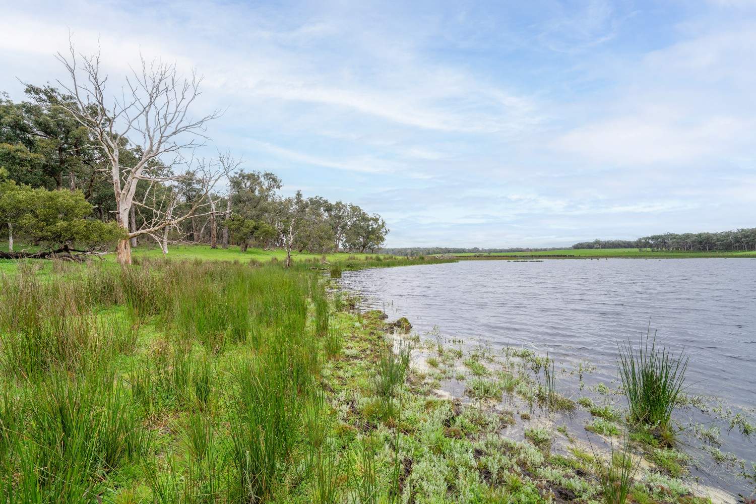 LOT 1 & 2 LP75465 Mt Clay Road, Heywood For Sale by Farmbuy.com - image 6