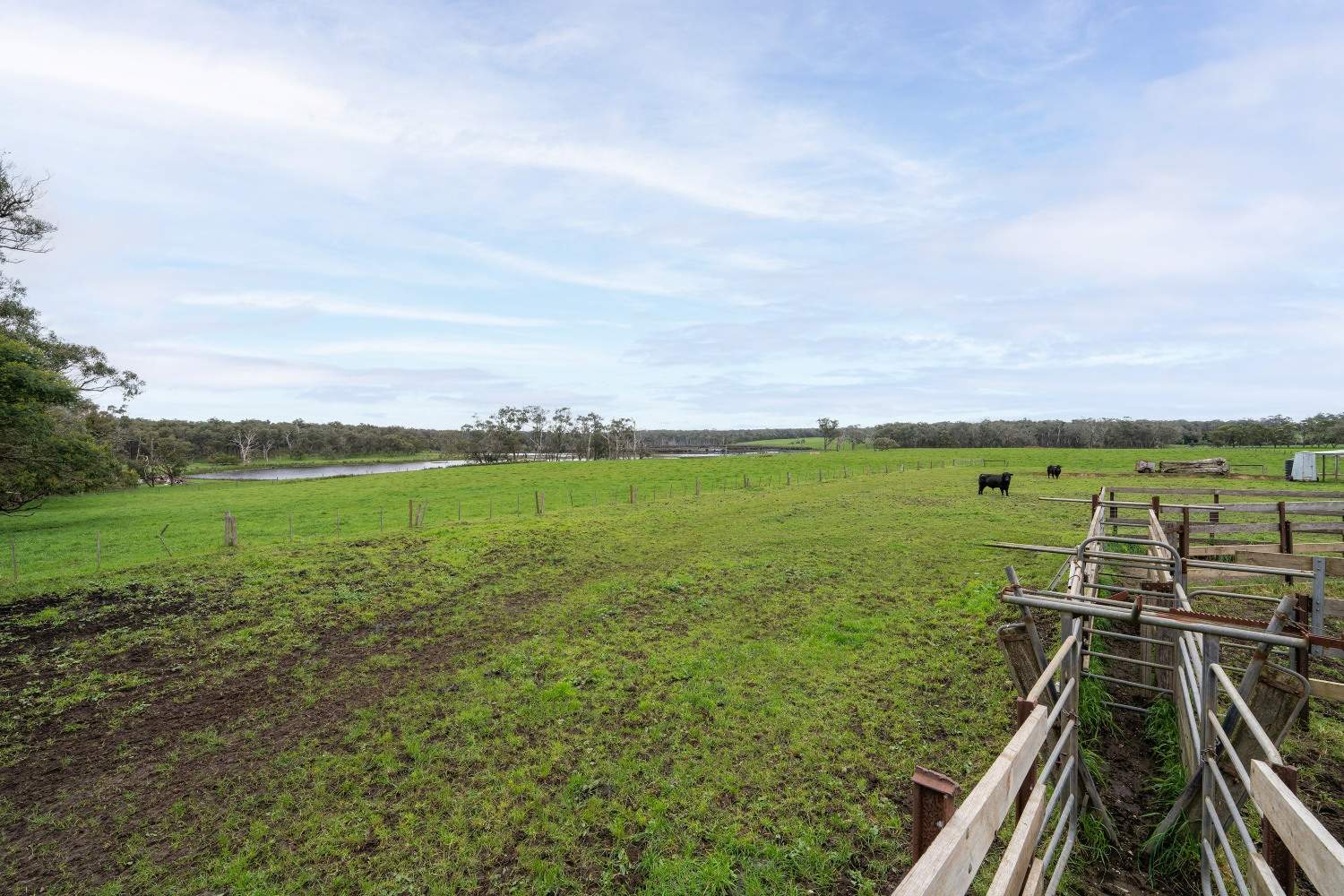 LOT 1 & 2 LP75465 Mt Clay Road, Heywood For Sale by Farmbuy.com - image 8